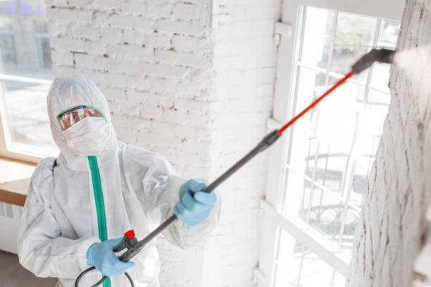 Environmental Consulting for Mold Prevention in West Lealman, FL
