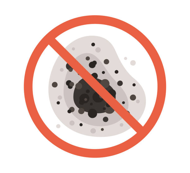 Best Biohazard Mold Removal  in West Lealman, FL