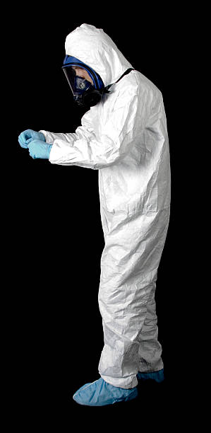 Best Basement Mold Removal  in West Lealman, FL