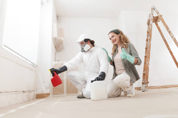 Best Commercial Mold Inspection  in West Lealman, FL